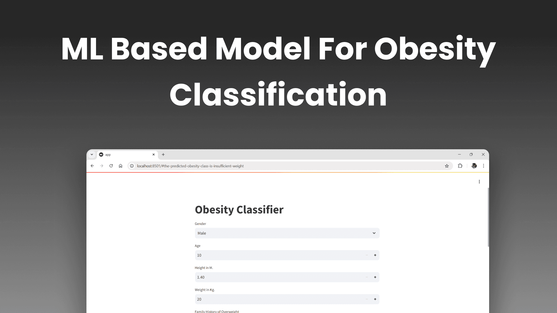 ML Obesity Classifier Project Image